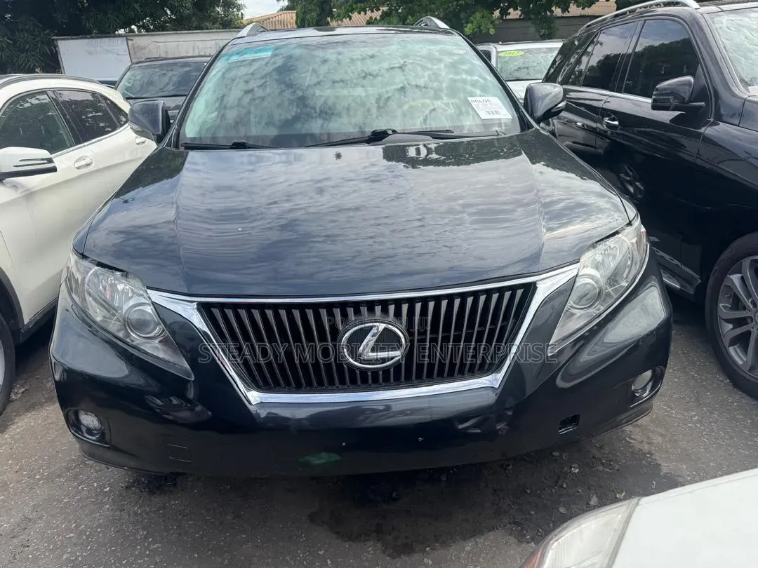 Lexus RX 350 2010 Gray