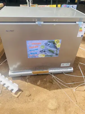 Snowsea 220l Deep Freezer ( Model Bd-308g)