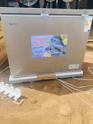 Snowsea 220l Deep Freezer ( Model Bd-308g)