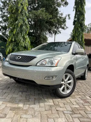 Lexus RX 2008 Gray