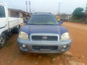 Hyundai Santa Fe LX 4WD 2004 Blue