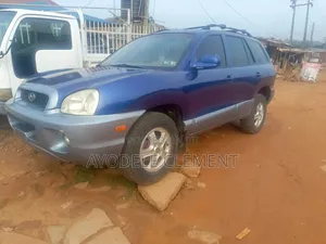 Hyundai Santa Fe LX 4WD 2004 Blue