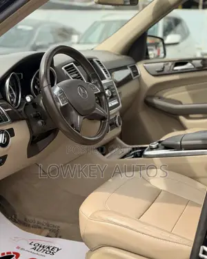 Mercedes-Benz M Class 2014 Blue