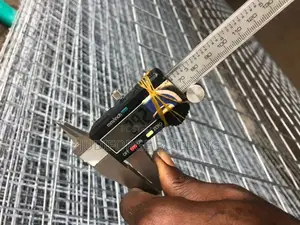 Wire Mesh (Poultry/Fence Mesh Wire)