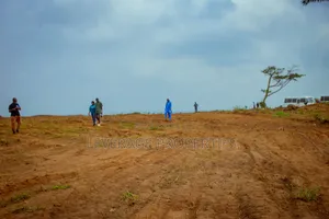 Own A Land Closer To Gateway International Airport, Ogun State