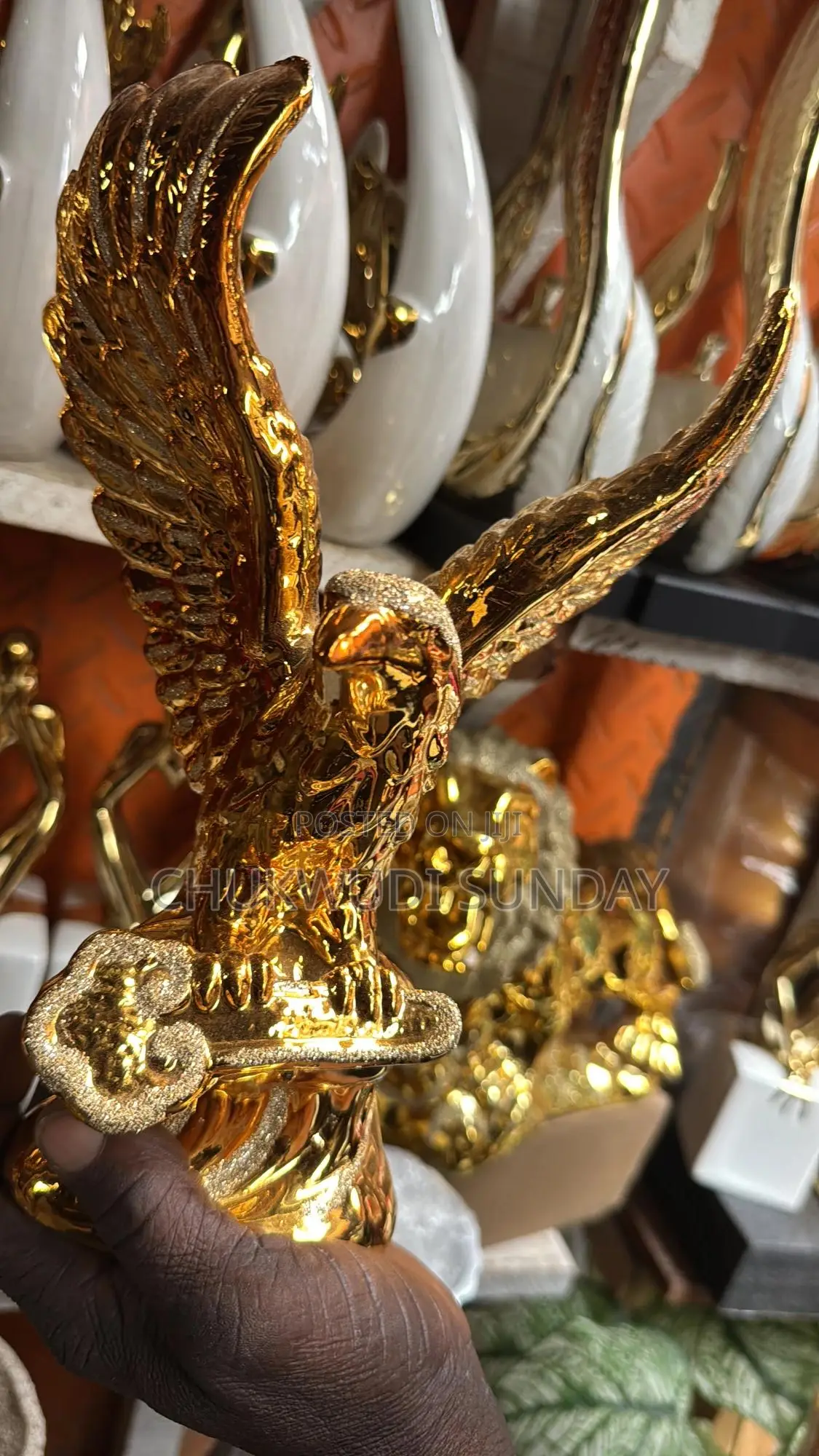 Eagle House Decoration