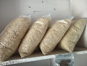 Dog Indomie Available