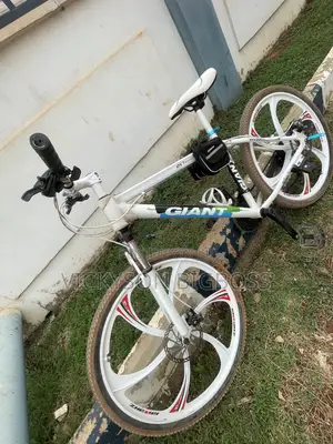 Mountains Bicycle