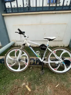 Mountains Bicycle