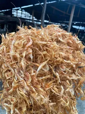 Nneatly Packed Crayfish