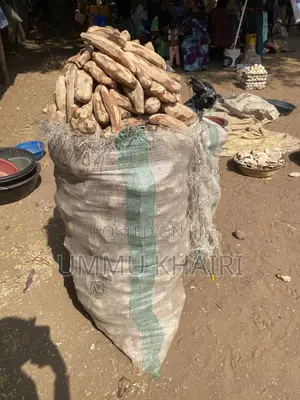 Elubo Igbodo