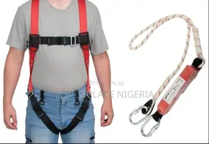 Harness And Lanyard