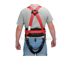 Safety Harness With Waistbelt