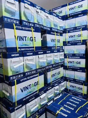175arh 12v Vintage Solar Gel Battery