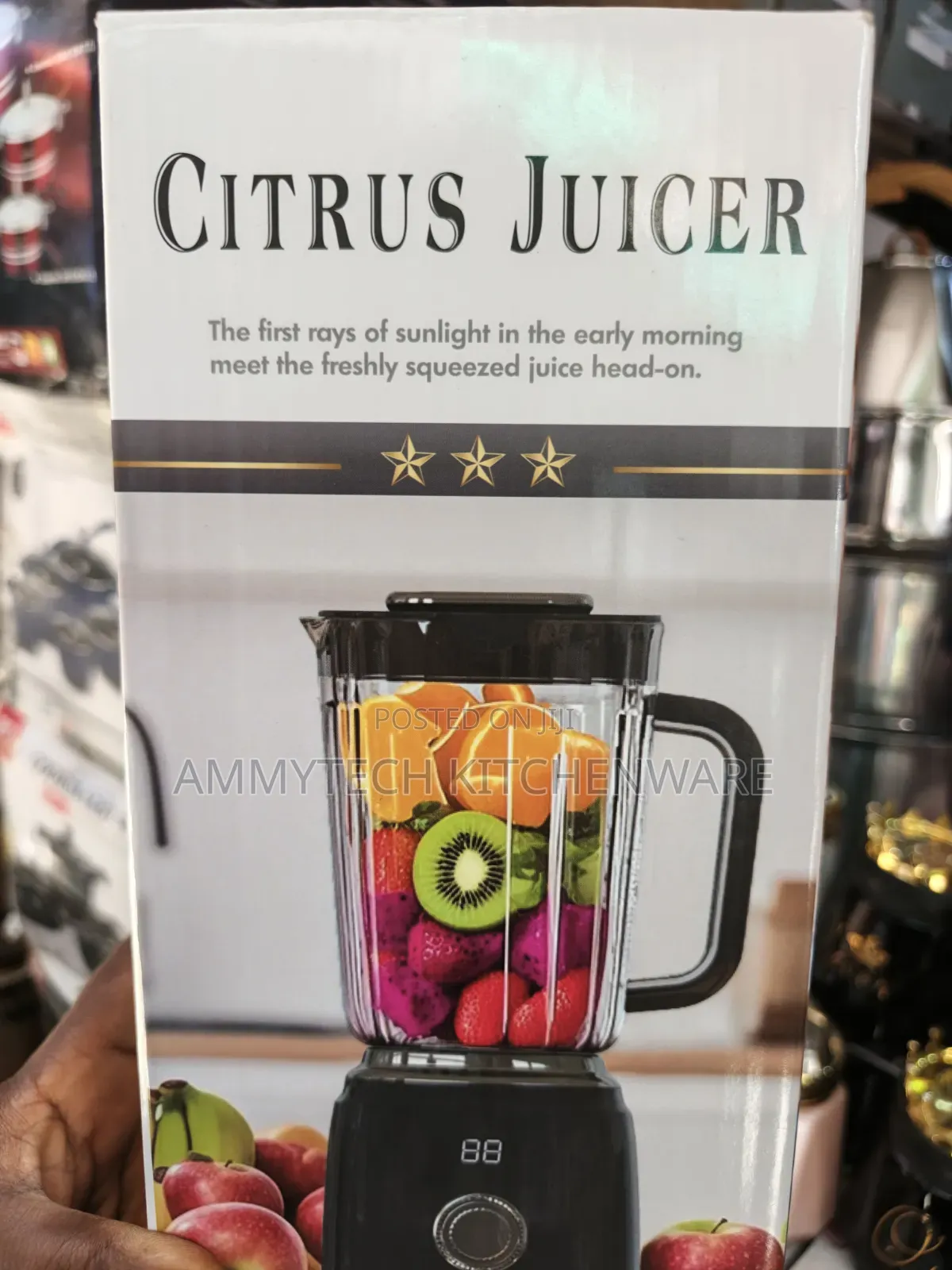 Rechargeable Mini Citrus Juicer Blender
