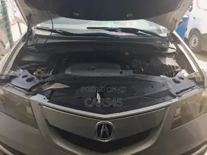 Acura MDX 2011 Silver