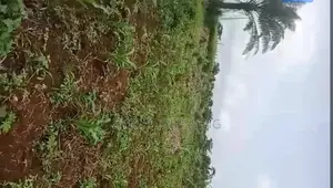 2 Plots of Land for Sale in Aduhanhan Community, Benin City