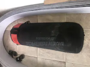 Everlast Punching Bag