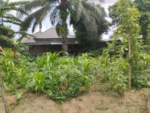 A Plot of Land in Abak Road by Trans Sossa Petrol Station