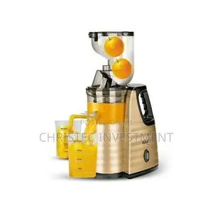 Raf Slow Masticating Fruit Juice