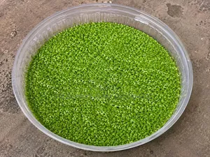 Duckweed for Livestock.