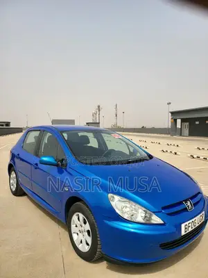 Peugeot 307 2005 Blue