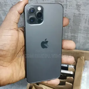 Apple iPhone 12 Pro 256 GB Gray
