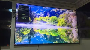 65 Inches Qled 2023