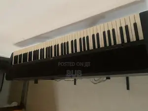 Keyboard /Piano