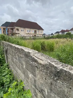 Half Plot of Land With Cofo at Ago Palace Way, Isolo