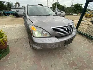 Lexus RX 330 2005 Gray