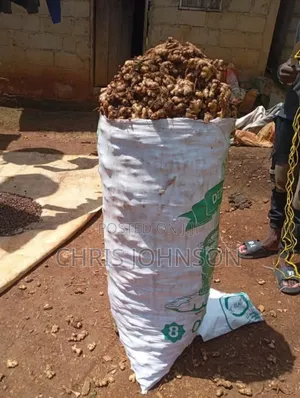 Freshly Harvested Organic Ginger in Abuja