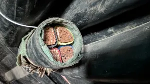 70mm Armored Cable Niger Chin