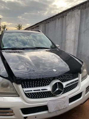 Mercedes-Benz GL-Class GL 450 2009