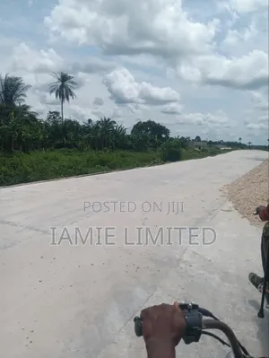 6 Plots of Commercial Land at Nigercat 40m Plot