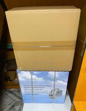 Portable Oxygen Concentrator