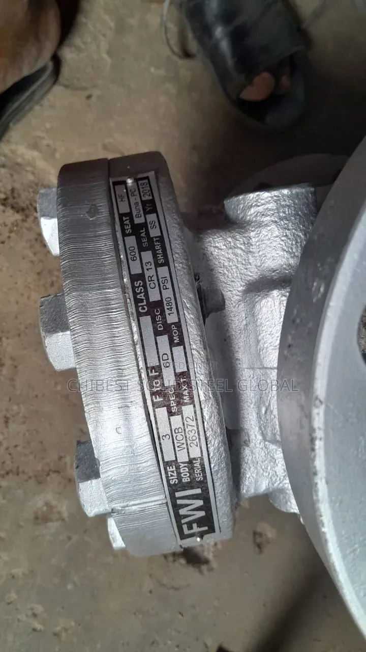 3x600 Check Valve