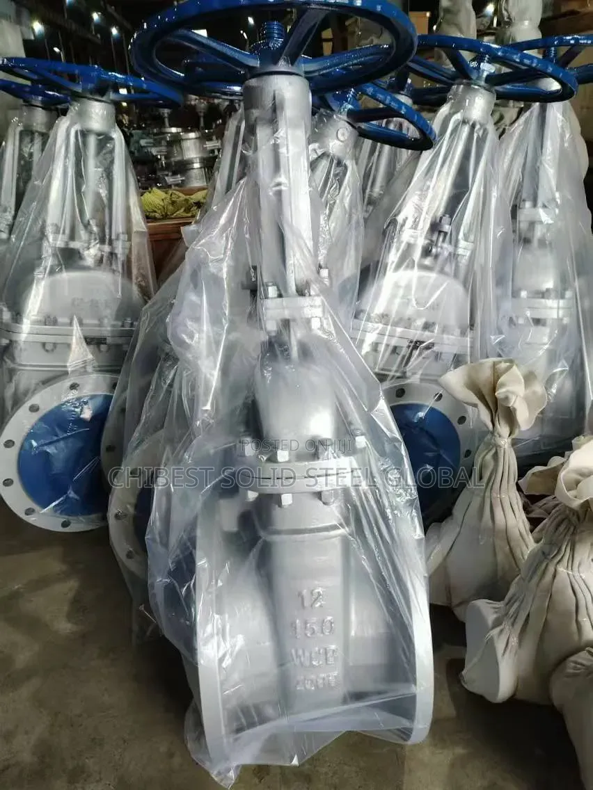 12x150 Gate Valve