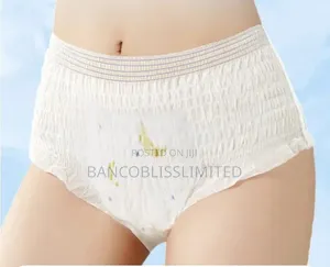 Sanitary Menstrual Period Panties