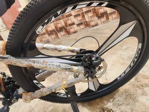 Adult Foldable Alloyed Bicycle