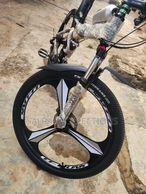 Adult Foldable Alloyed Bicycle