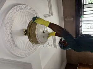 Cleaning and Environmental Services