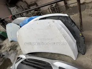 Bonnet Elentra Gt 2013