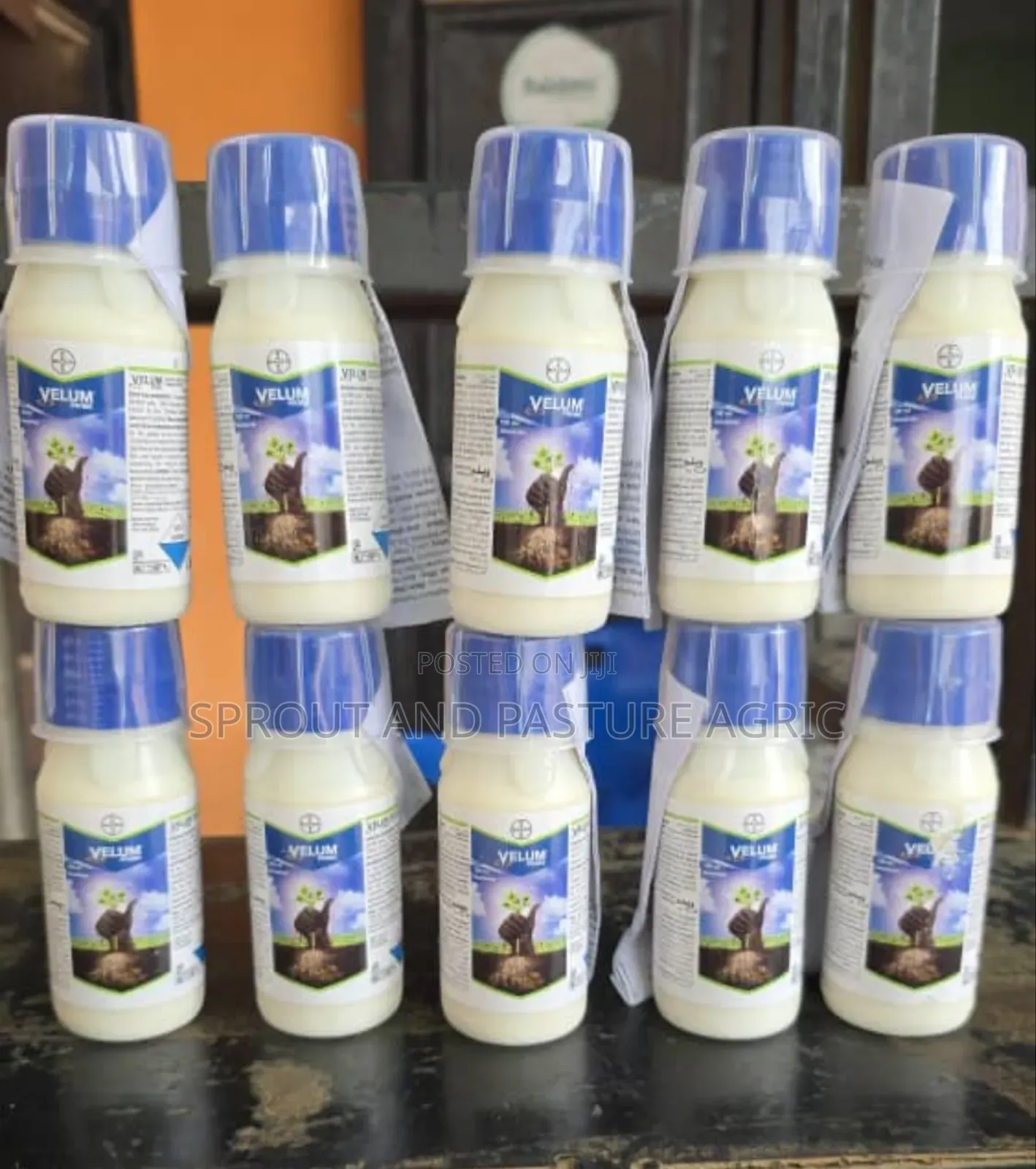Velum Prime 100ml