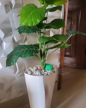 Flower Vase