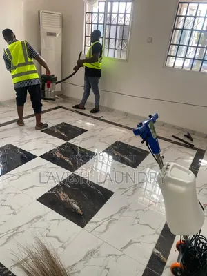 Professional House Cleaning and Dust Removal