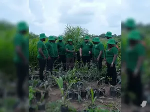 Acres of Palmoil Farmland for Sale in Imala-Anigbado, Abeokuta North