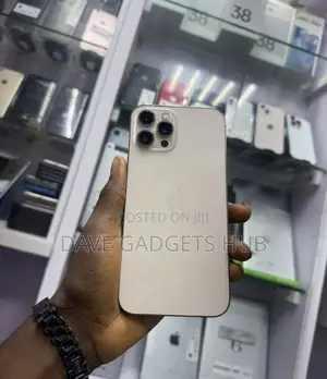Apple iPhone 12 Pro Max 128 GB Rose Gold