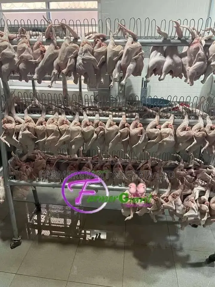 Complete Processing Equipment