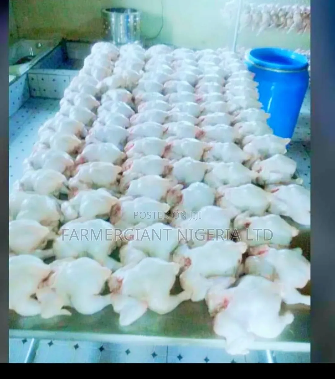 Complete Processing Equipment